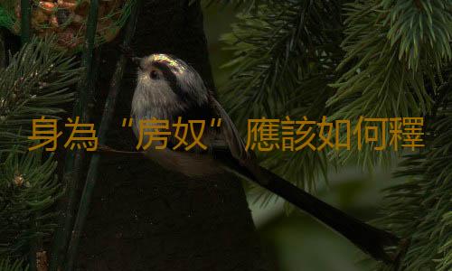 身為“房奴”應該如何釋放心理壓力